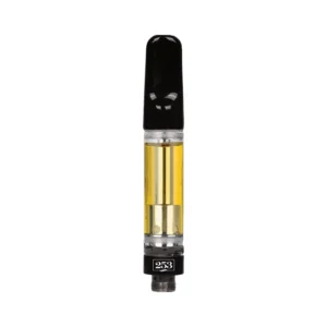 AM x PM | Cartridge | 1g
