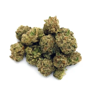 Georgia Runtz | Mini-Buds | 1/8 oz.