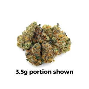 Governmint Oasis | Mini-Buds | 1/4 oz.