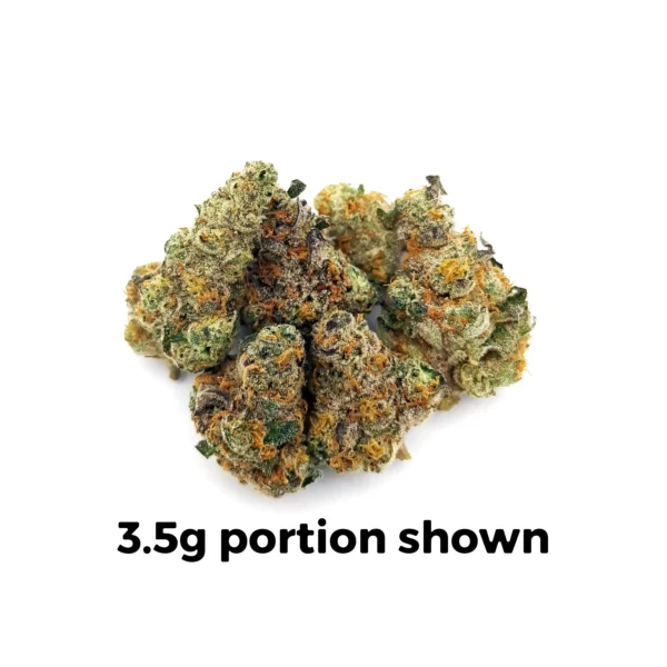 Governmint Oasis | Mini-Buds | 1/4 oz.