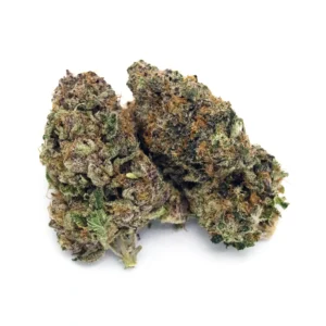 Grape Bubblegum | 1/8 oz.