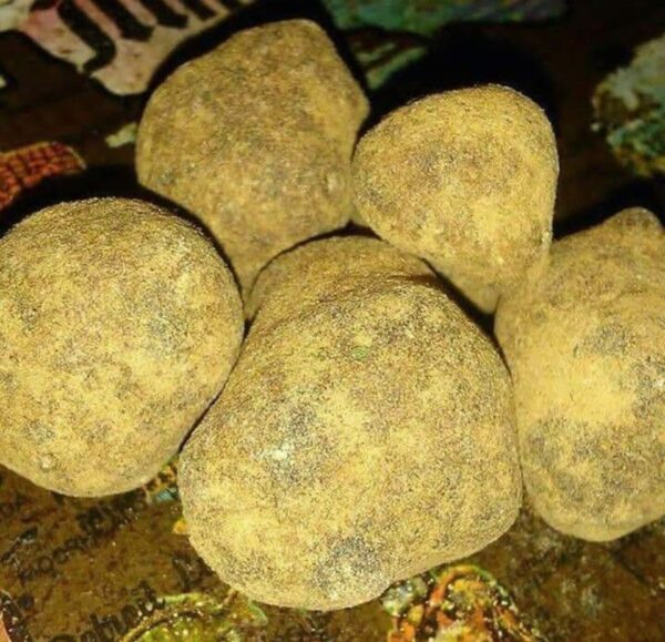 Moonrocks