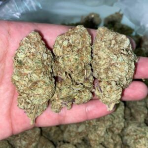 Og kush