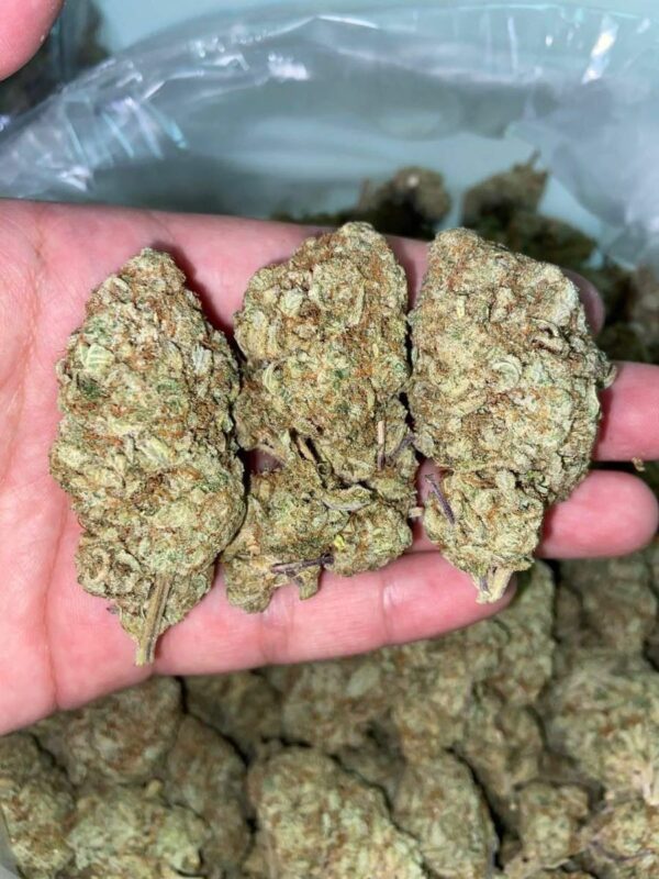 Og kush
