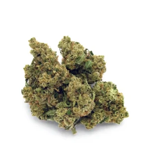Quattro Kush F3 x Lilac Diesel | 1/8 oz.