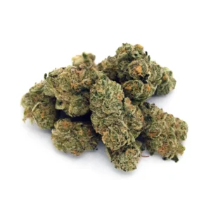 Space Case | Mini-Buds | 1/8 oz.